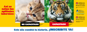 Fundaes_aviso_con-banderas-2014_banner-GATOS-300x112